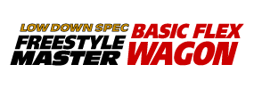 FREE STYLE MASTER BASIC FLEX WAGON